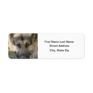 German Shepard Etiket