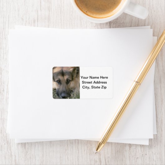 German Shepard Etiket (Insitu)