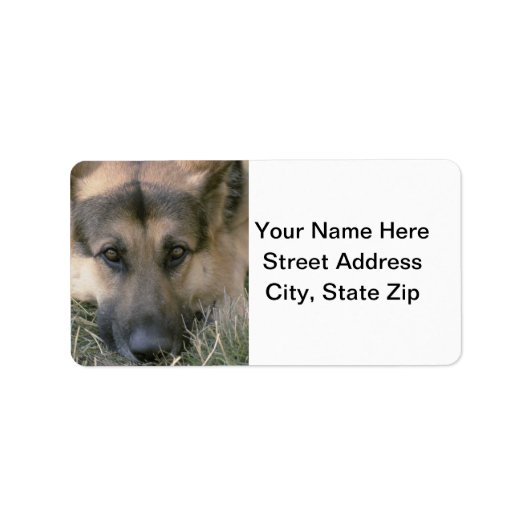 German Shepard Etiket (Voorkant)