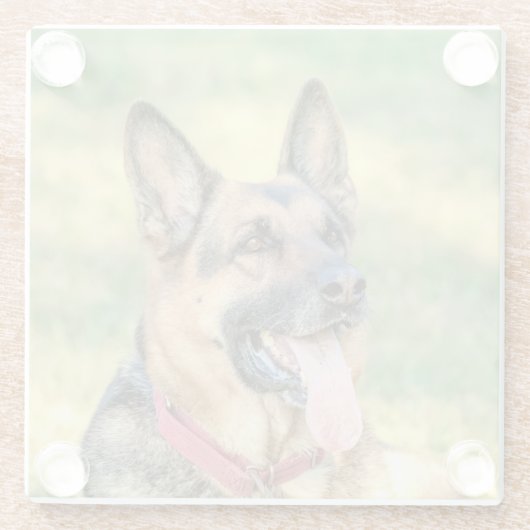 German Shepard Glazen Onderzetter (Achterkant)