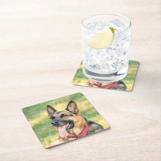 German Shepard Kartonnen Onderzetters (Insitu)