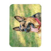 German Shepard Magneet (Verticaal)