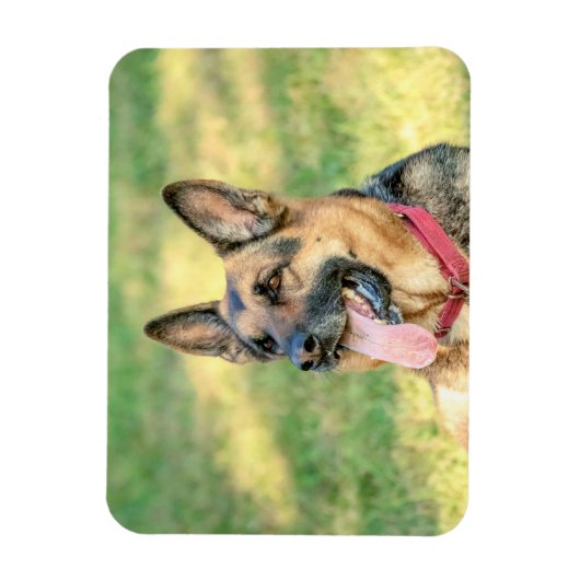 German Shepard Magneet (Verticaal)