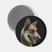 German Shepard Magnet (Voorkant / Achterkant)