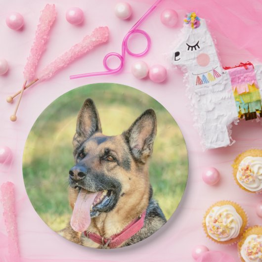 German Shepard Papieren Bordje (Feest)