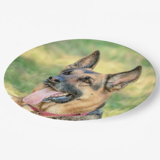 German Shepard Papieren Bordje (Gekanteld)