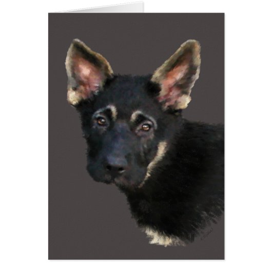 German Shepard Puppy-Pastels (Voorkant)