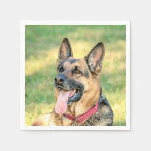 German Shepard Servetten