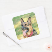 German Shepard Vierkante Sticker (Envelop)