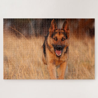 German Shephard Male Dog Legpuzzel