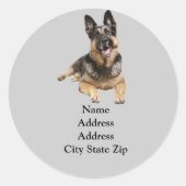German Shepherd Adreslabel Ronde Sticker (Voorkant)