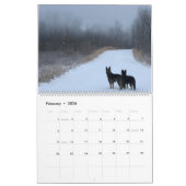 German Shepherd Adventure Calendar Kalender (Feb 2026)