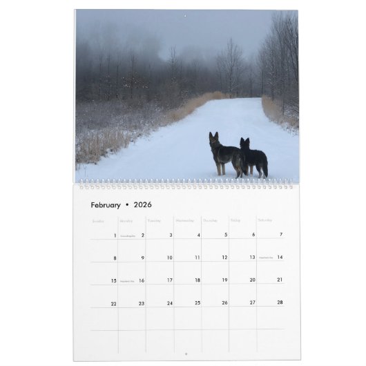 German Shepherd Adventure Calendar Kalender (Feb 2026)