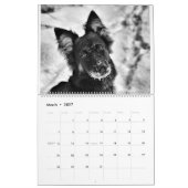 German Shepherd Adventure Calendar Kalender (Mar 2027)