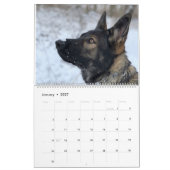 German Shepherd Adventure Calendar Kalender (Jan 2027)