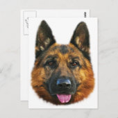 German Shepherd Alsatian K-9 Dog Briefkaart (Voorkant / Achterkant)