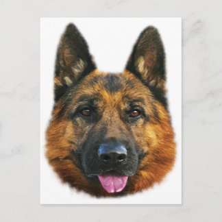 German Shepherd Alsatian K-9 Dog Briefkaart
