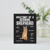 German Shepherd Anatomy Funny Dog Briefkaart (Staand voorkant)