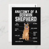 German Shepherd Anatomy Funny Dog Briefkaart (Voorkant / Achterkant)