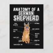 German Shepherd Anatomy Funny Dog Briefkaart (Voorkant)
