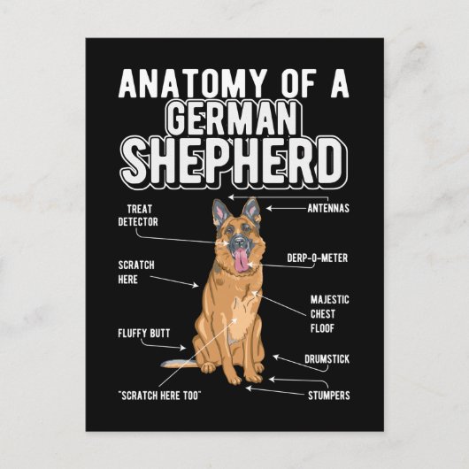 German Shepherd Anatomy Funny Dog Briefkaart (Voorkant)