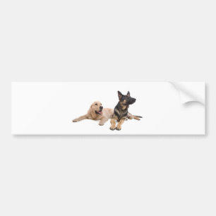 german shepherd and golden retriever bumpersticker