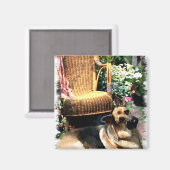 German Shepherd Art Gifts Magneet (Voorkant / Achterkant)