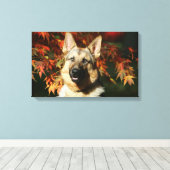 German Shepherd Autumn Leaves Canvas Afdruk (Insitu (Houten vloer))