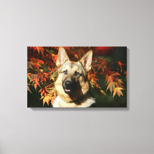 German Shepherd Autumn Leaves Canvas Afdruk