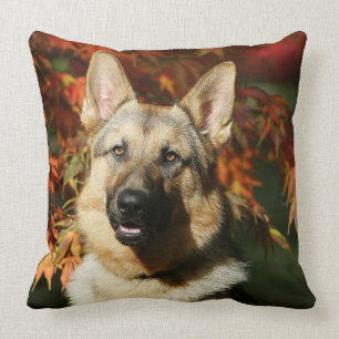German Shepherd Autumn Leaves Kussen