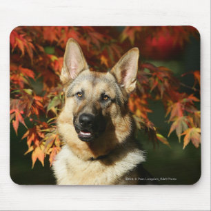 German Shepherd Autumn Leaves Muismat