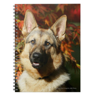 German Shepherd Autumn Leaves Notitieboek