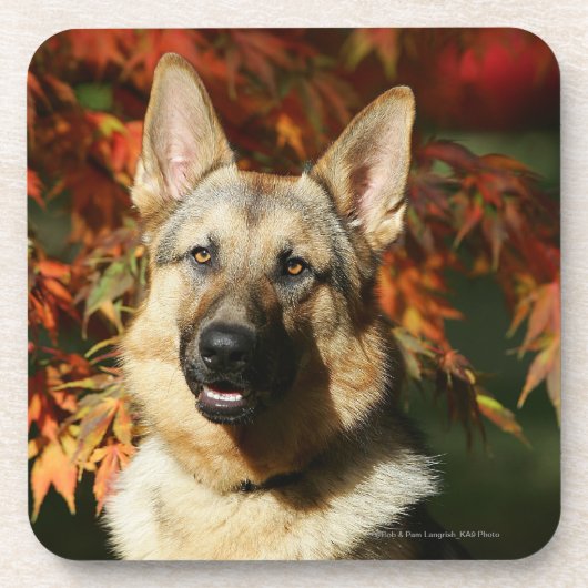 German Shepherd Autumn Leaves Onderzetter (Voorkant)