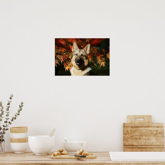 German Shepherd Autumn Leaves Poster (Keuken)