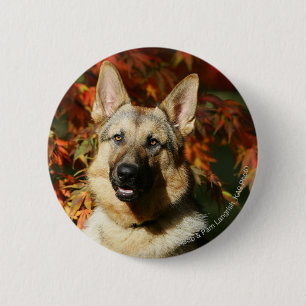 German Shepherd Autumn Leaves Ronde Button 5,7 Cm