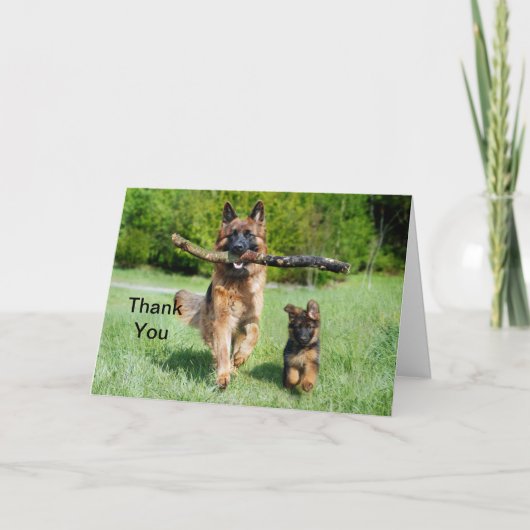 German Shepherd Bedankkaart (Voorkant)