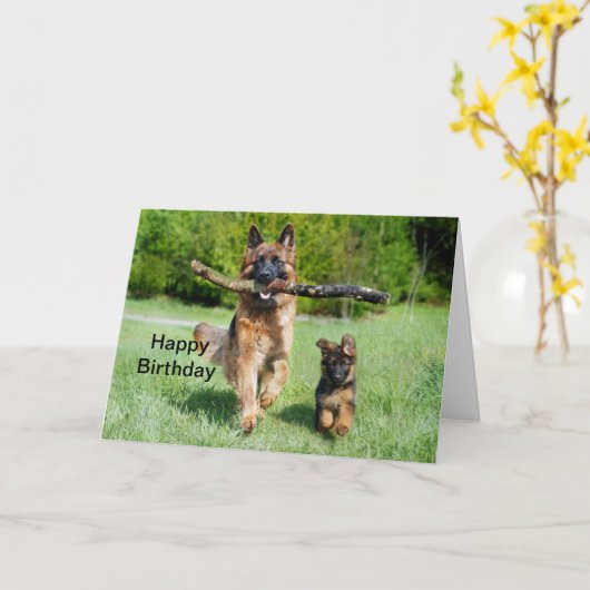 German Shepherd Birthday Kaart (Gele Bloem)