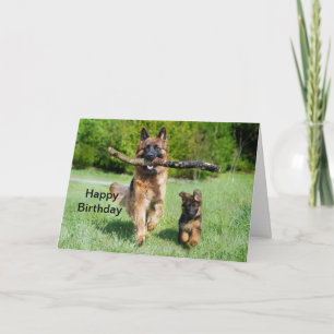 German Shepherd Birthday Kaart