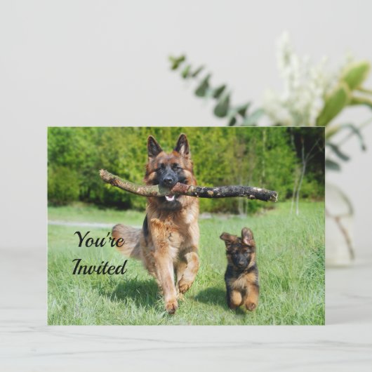 German Shepherd Birthday Kaart (Staand voorkant)