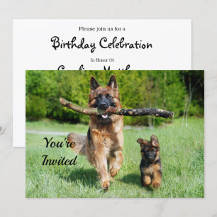 German Shepherd Birthday Kaart