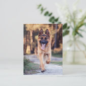 German Shepherd Briefkaart (Staand voorkant)