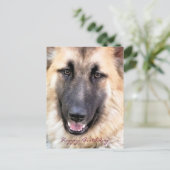 GERMAN SHEPHERD BRIEFKAART (Staand voorkant)
