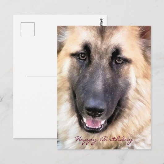 GERMAN SHEPHERD BRIEFKAART (Voorkant / Achterkant)