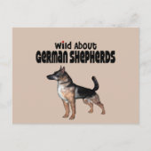 German Shepherd Briefkaart (Voorkant)