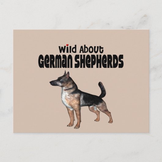 German Shepherd Briefkaart (Voorkant)