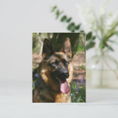 German Shepherd Briefkaart (Staand voorkant)