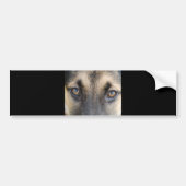 German Shepherd Bumpersticker (Voorkant)