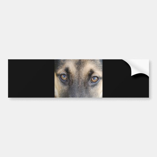 German Shepherd Bumpersticker (Voorkant)
