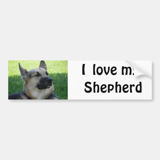 German Shepherd Bumpersticker (Voorkant)