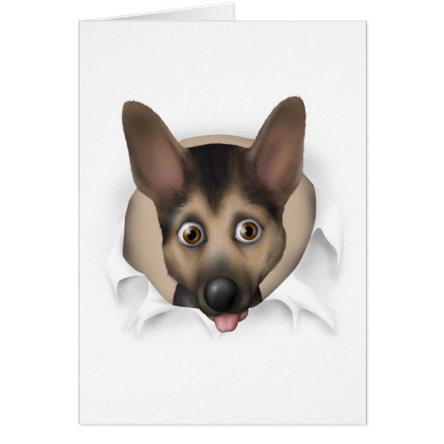 German Shepherd Busting Out (Voorkant)
